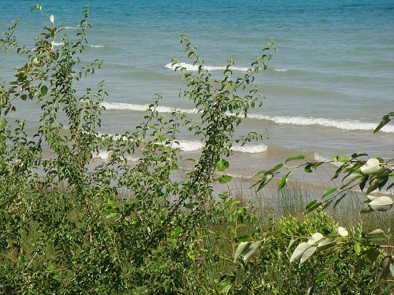 Western Michigan [2010] 576.JPG - Scenes from our trip to Western Michigan. Some places along the way were Ludington, Sleep Bear Dunes, and Traverse City.